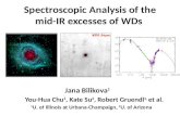 Spectroscopic Analysis of the mid-IR excesses of WDs Jana Bilikova 1 You-Hua Chu 1, Kate Su 2, Robert Gruendl 1, et al. 1 U. of Illinois at Urbana-Champaign,