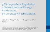 P53-dependent Regulation of Mitochondrial Energy Production by the RelA NF-κB Subunit. Ini-Isabée Witzel 1,2, Renée Johnson 1,3 and Neil Perkins 1 1 Institute.