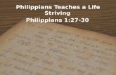 Philippians Teaches a Life Striving Philippians Teaches a Life Striving Philippians 1:27-30.