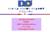 Sergey Burdin FNAL DØ Collaboration 8/12/2005 Chicago Flavor New Bs Mixing Result from DØ.