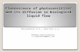 Fluorescence of photosensitizer and its diffusion in biological liquid flow Maryakhina V.S., Gun’kov v.v. Orenburg state university v.s.maryakhina@gmail.com.