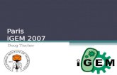 Paris iGEM 2007 Doug Tischer. Goal To engineer the first multicellular bacterium to have two distinct cell lines: the soma and the germline.