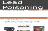 Lead Poisoning in Animals