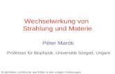 Wechselwirkung von Strahlung und Materie Péter Maróti Professor für Biophysik, Universität Szeged, Ungarn Empfohlene Lehrbücher wie früher in den vorigen.