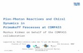Pion-Photon Reactions and Chiral Dynamics in Primakoff Processes at COMPASS Markus Krämer on behalf of the COMPASS collaboration supported by: Maier-Leibnitz-Labor.