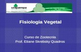 Fisiologia Vegetal Curso de Zootecnia Prof. Etiane Skrebsky Quadros.