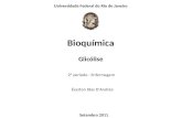 Universidade Federal do Rio de Janeiro Bioquímica Glicólise Éverton Dias D’Andréa 2º período - Enfermagem Setembro 2011