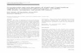 Overexpression and ratio disruption of ΔNp63 and TAp63 isoform equilibrium in endometrial adenocarcinoma: correlation with obesity, menopause, and grade I/II tumors