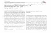 Anthocyanins-rich extract of wild Chinese blueberry protects glucolipotoxicity-induced INS832/13 β-cell against dysfunction and death