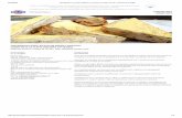 Τραχανόπιτα χωρίς φύλλο με κρέμα γιαουρτιού και στραγγιστό Total.pdf