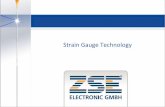 FBGS - Strain Gauge Technology