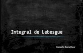 Integral de Lebesgue