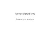 Distinguishable Particles
