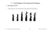 Turbulent Premixed Flames 7