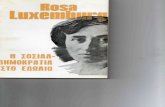 Rosa Luxemburg - Η σοσιαλδημοκρατία στο εδώλιο