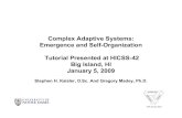 Complex Adaptive Systems: Emergence and Self-Organization