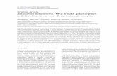Association between the TNF-α G-308A polymorphism and risk of ...