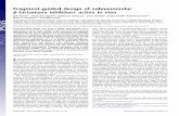 Fragment-guided design of subnanomolar β-lactamase inhibitors ...