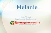 Melanie - 2D gel analysis software