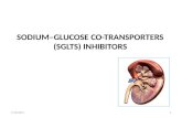 Sodium glucose co transporter( SGLT2) Inhibitors
