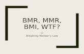 BMR, MMR, BMI? Breaking Kleiber's Law