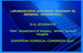 Laparoscopic and open surgery in adrenal malignancy | Γιώργος Ζωγράφος - Γιατρός Χειρουργός