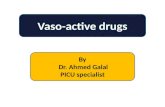 Vasoactive drugs