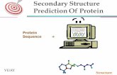 Secondary Structure Prediction of proteins