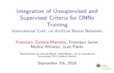 Integration of Unsupervised and Supervised Criteria for DNNs Training