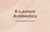 ß Lactam antibiotics