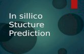 In silico structure prediction