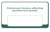PostHarvest Factors affecting Postharvest Quality