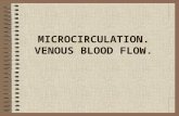 Physiology 1-Microcirculation