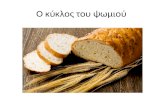 ο κύκλoς  του ψωμιού