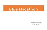 Blue Hacathon- Φ. Ρούτσης