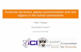 Kuramoto dynamics, glassy synchronization and rare regions in the human connectome - Pablo Villegas
