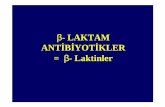 Beta Laktam Antibiyotikler.pdf