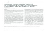 Reverse Transcriptase Activity of Hepatitis B Virus Polymerase in ...