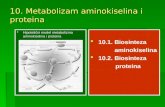 Metabolizam aminokiselina i proteina