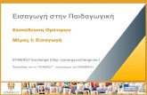 SYNERGY Induction to Pedagogy Programme - Training of Peers (GREEK)