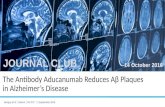 Antibody Aducanumab Reduces Αβ Plaques in Alzheimer’s Disease