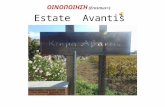 Visit to Avantis Estate (Erasmus+)