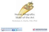 Νευρικά Αλλομοσχεύματα- Nerve allografts