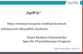 Apifix presentation english version