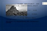 particle technology (report)