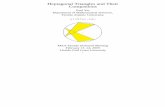 Heptagonal Triangles and Their Companions