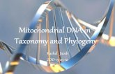 Mitochondrial DNA in Taxonomy and Phylogeny