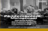 Pandemonium Management Workshop 8, 15, 16 March 2017