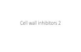 Pharmacology  - Cell wall inhibitors 2