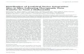 Distribution of Lentiviral Vector Integration Sites in Mice Following ...